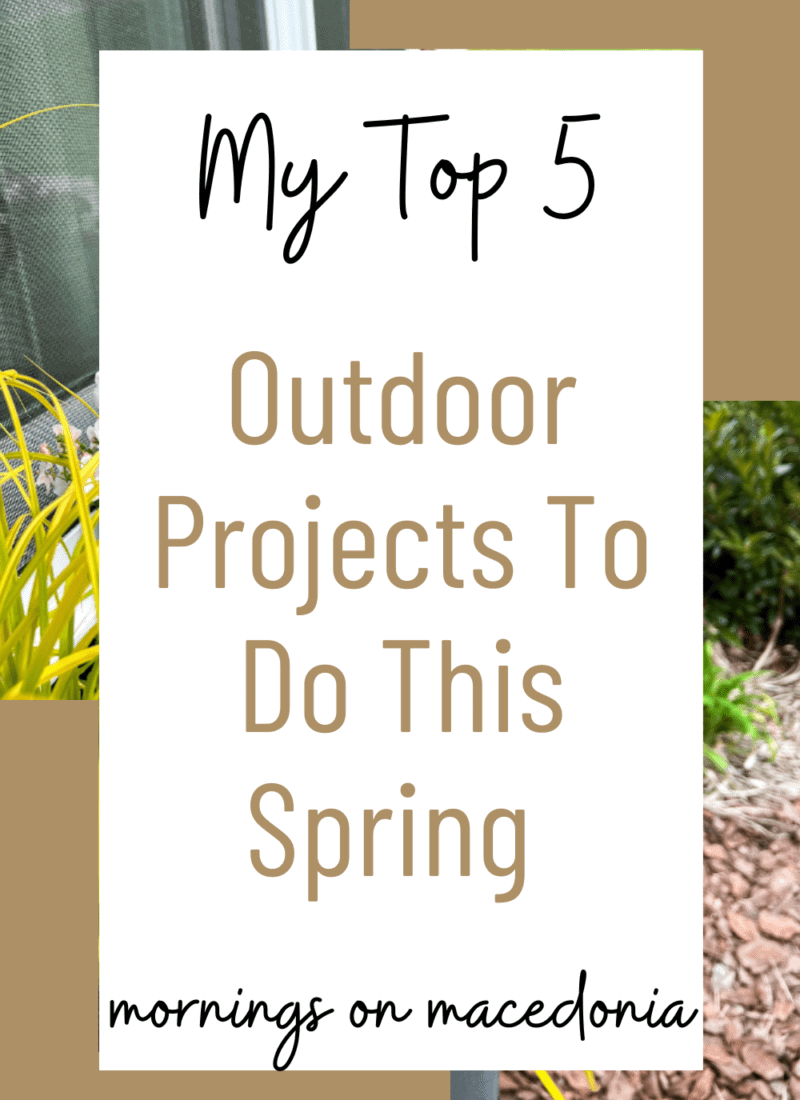 Top 5 DIY Outdoor Projects To Do This Spring