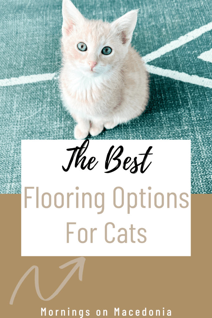 The Best Flooring Options For Cats