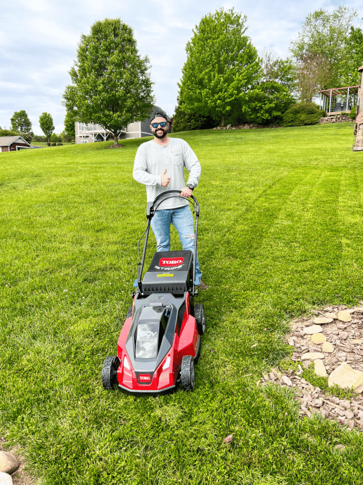 Getting The Yard Summer Ready