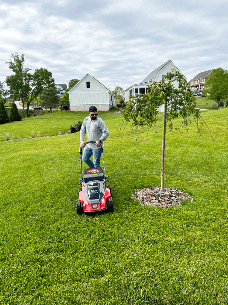 Mowing Around Cherry Tree