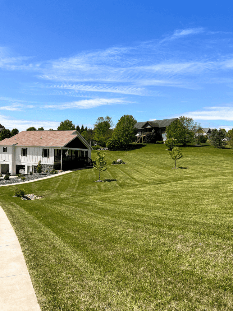 Stripped Lawn Using TORO Mower