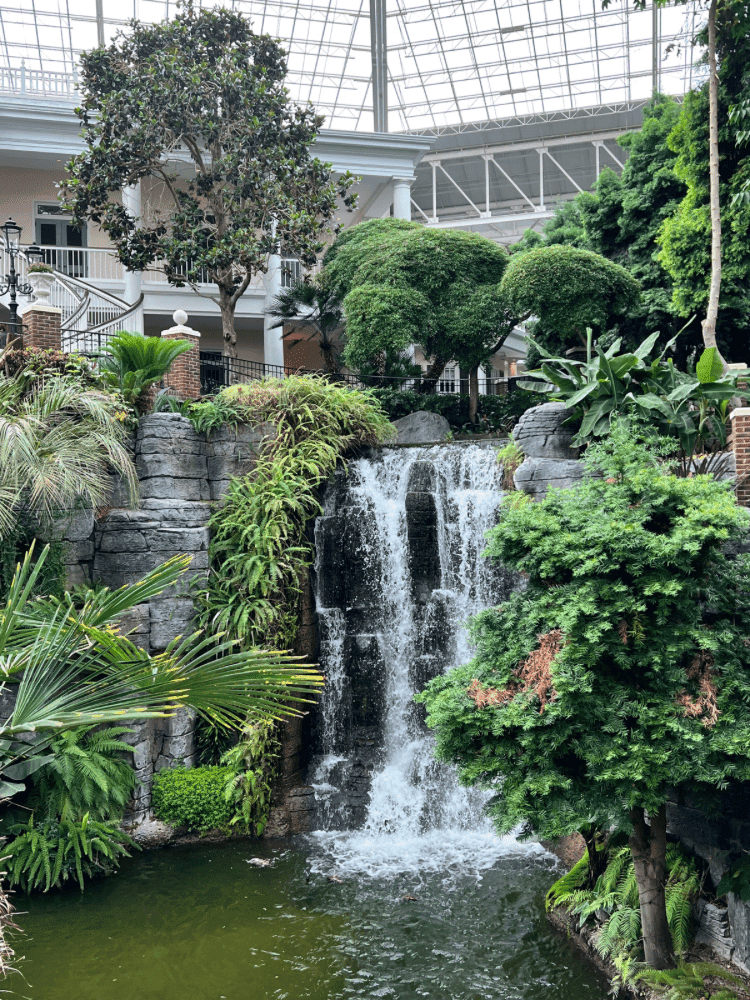 Waterfall at Opryland