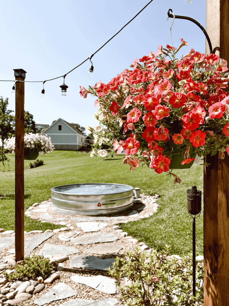 Hanging Baskets By The Pool