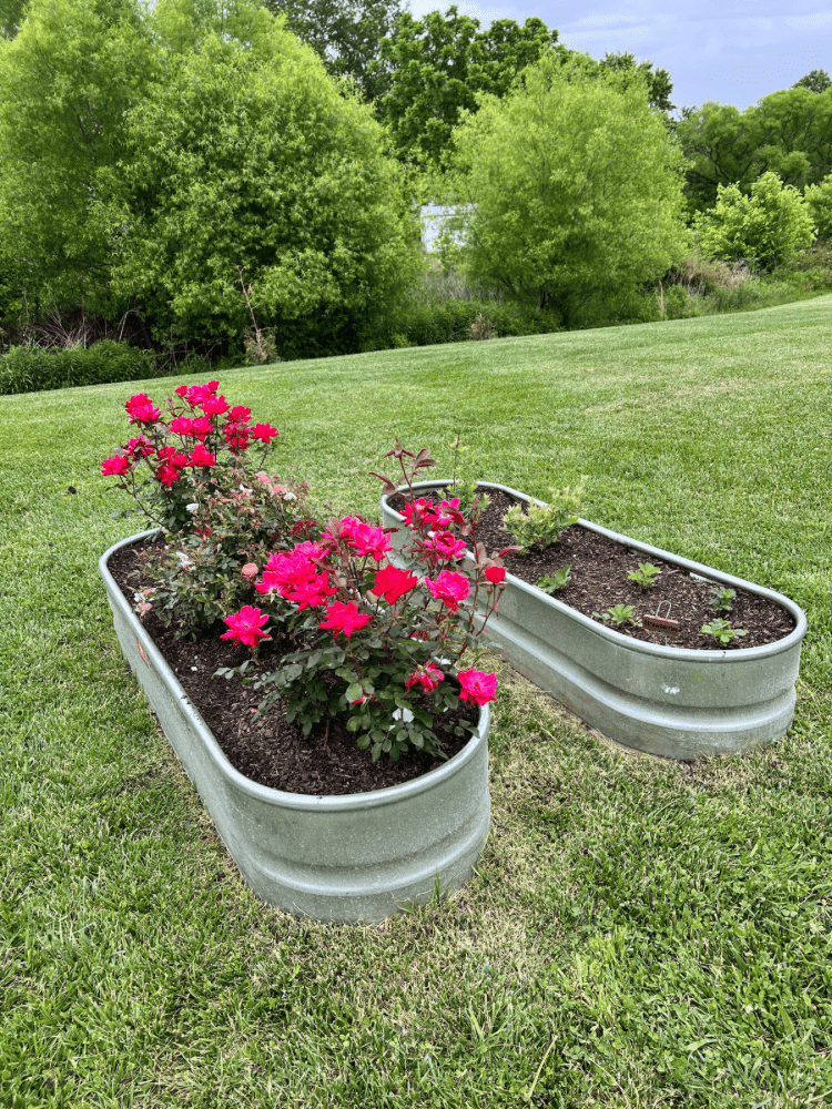 Raised Garden Beds By The Pool