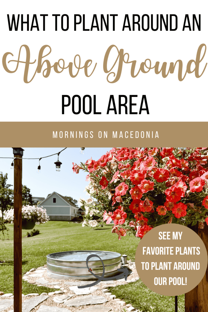 What To Plant Around An Above Ground Pool Area