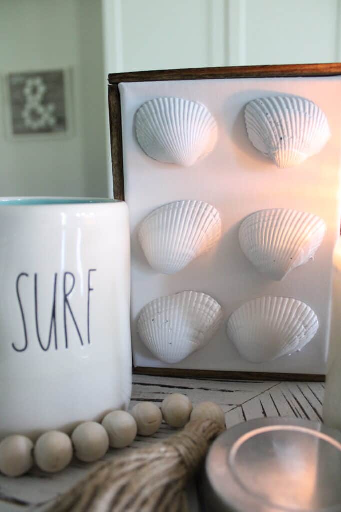 Close Up of Sea Shell Wall Decor