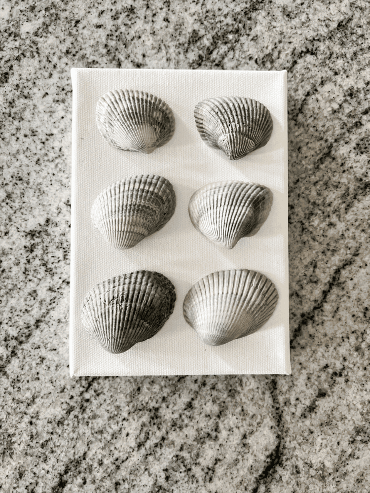 Scallop Shells For Crafts, Large Sea Shells For Decorating, White Natural  Sea Shells For Decoration - Temu Kuwait