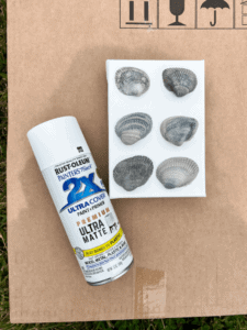 DIY Seashell Wall Decor - Mornings on Macedonia