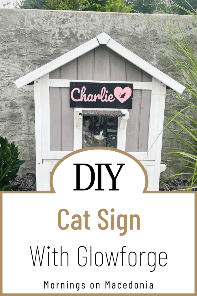 DIY Cat Sign With Glowforge