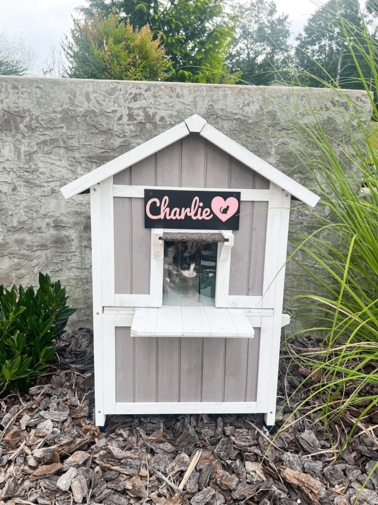 Finished DIY Cat Sign