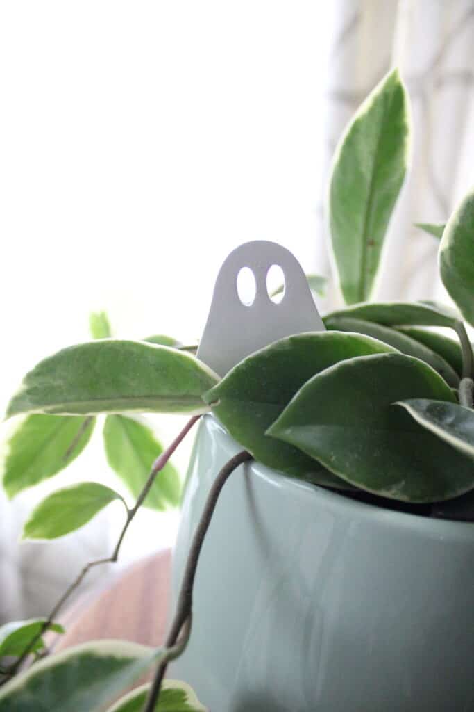 Mini Ghost Peeking Thru