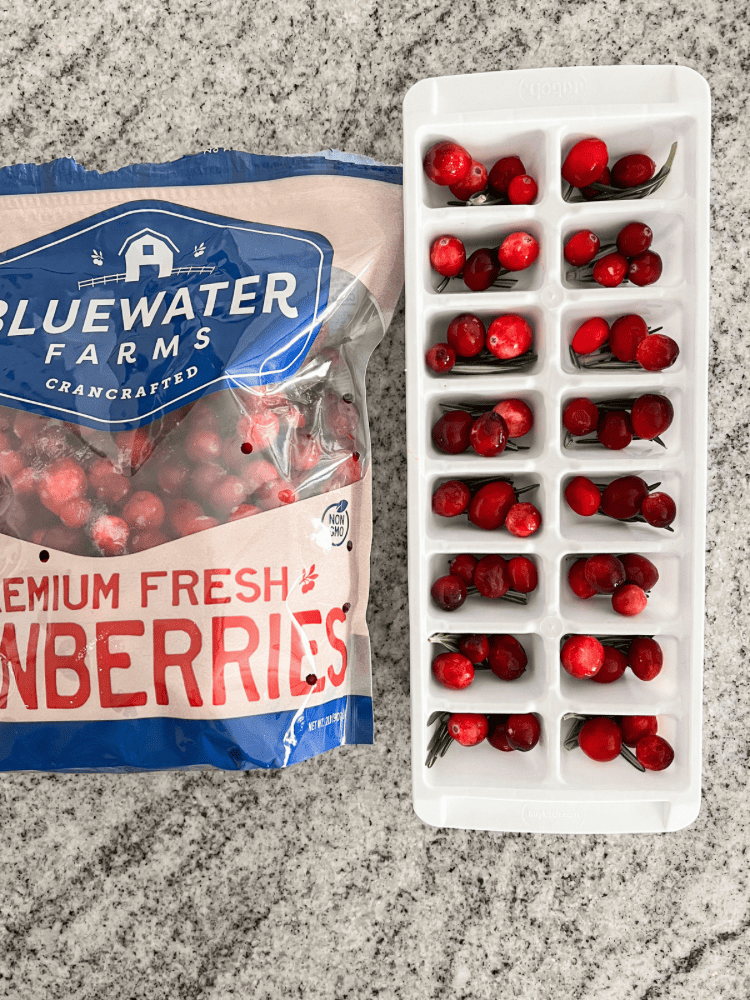 Adding Cranberries to Ice Cubes