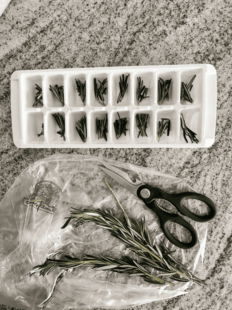 Adding Rosemary to Ice Cubes