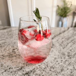 Cranberry Rosemary Ice Cubes in Sparkling Water