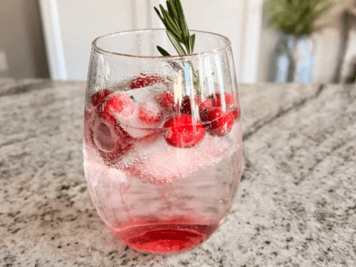 Cranberry Shark Ice Cubes