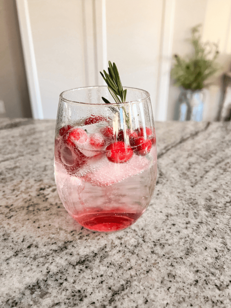 Cranberry Rosemary Ice Cubes in Sparkling Water