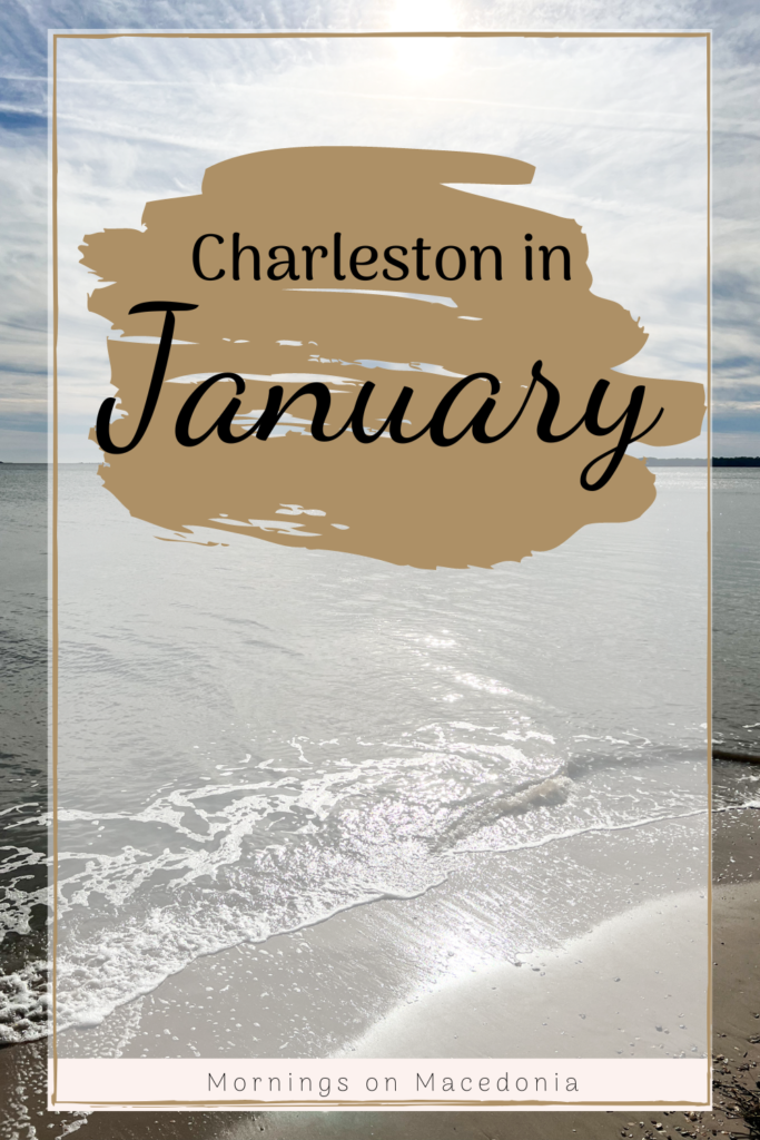 Charleston in January