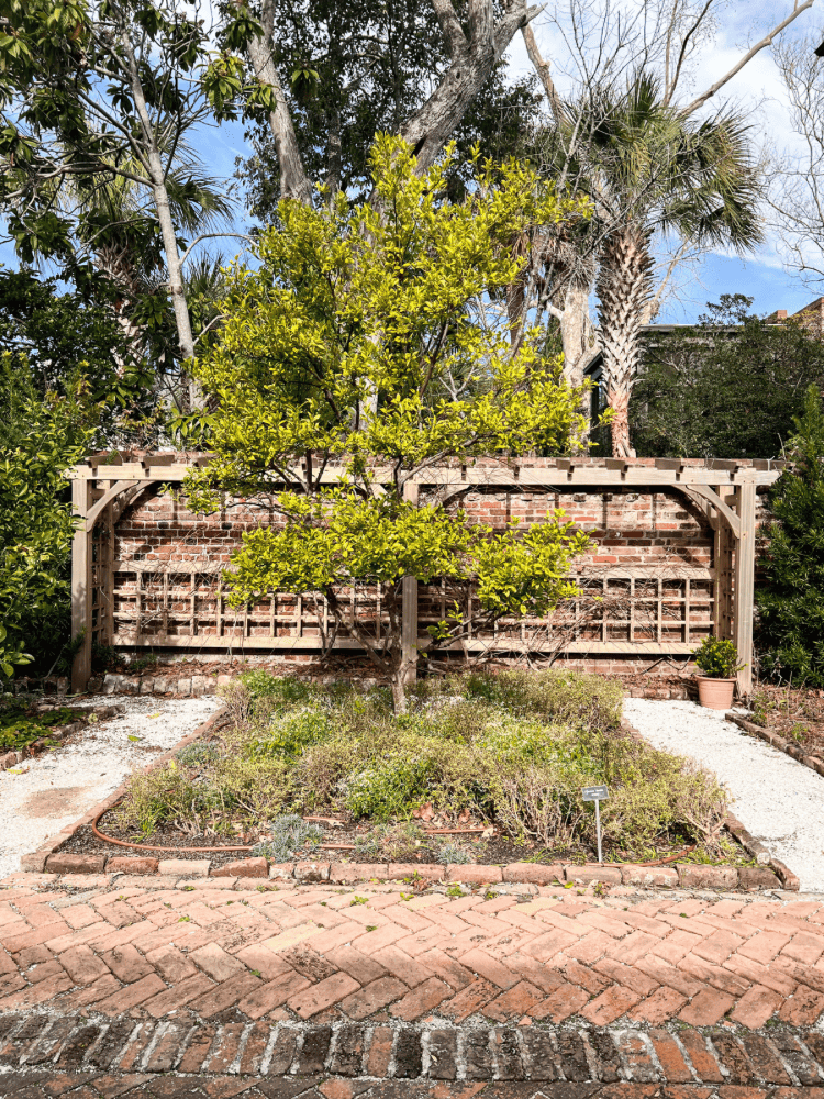 Gardens of Heyward Washington House
