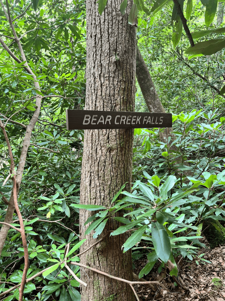 Bear Creek Falls