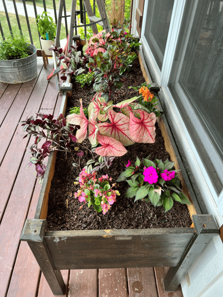 Finished Raised Flower Bed