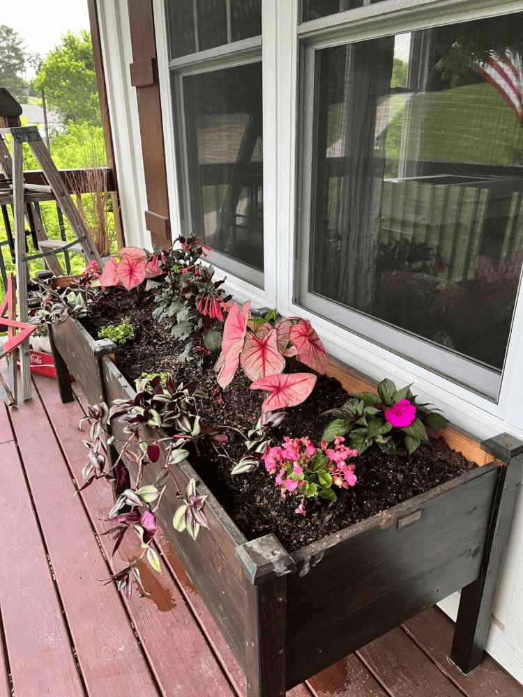 Finished Raised Garden Bed