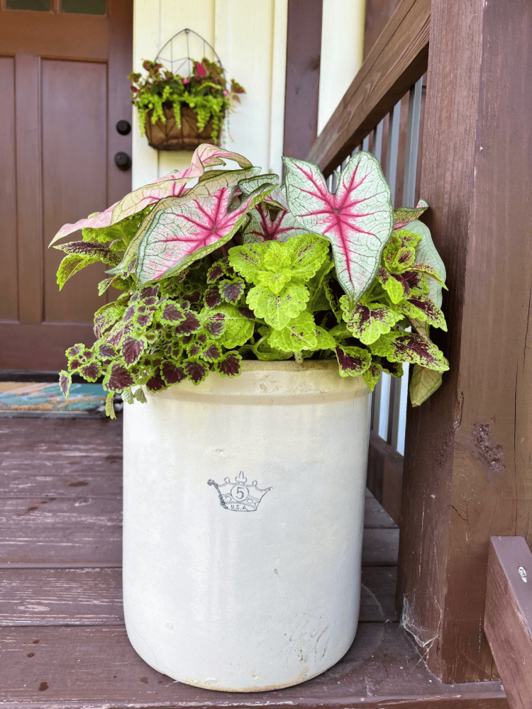 Finished Vintage Crock Planter