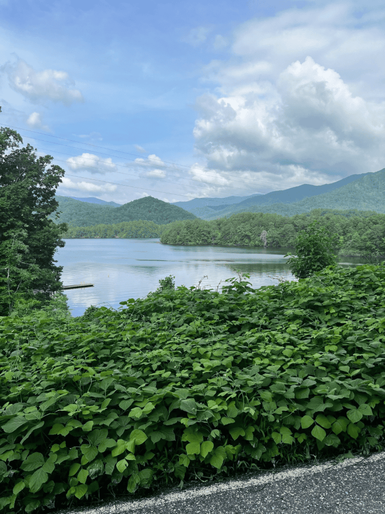 Lake Santeetlah