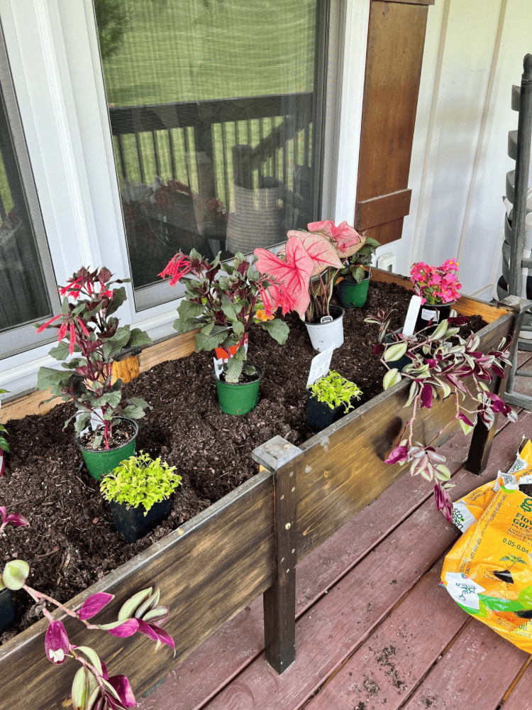 Raised Flower Bed