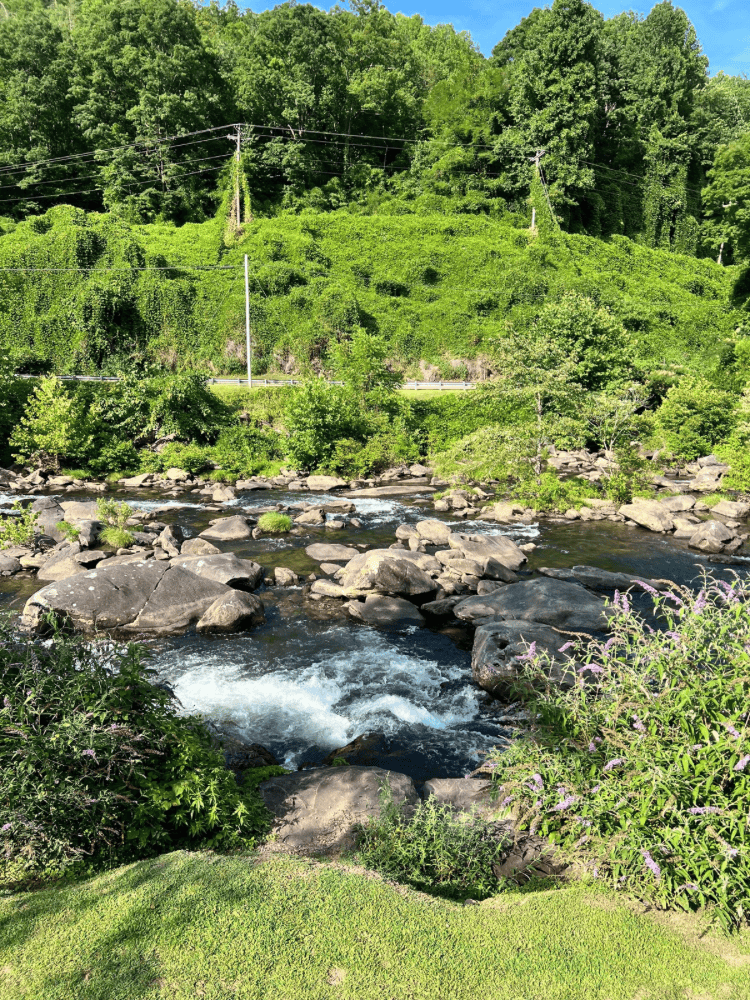 Tapoco Views in Robbinsville NC