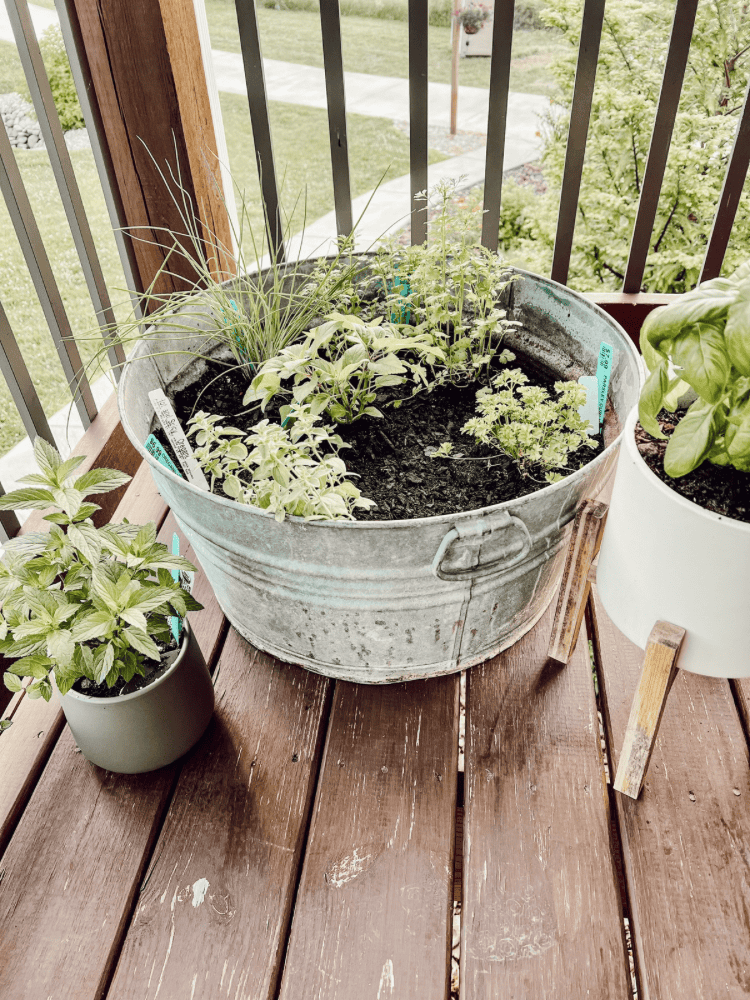 Upcycled Herb Garden