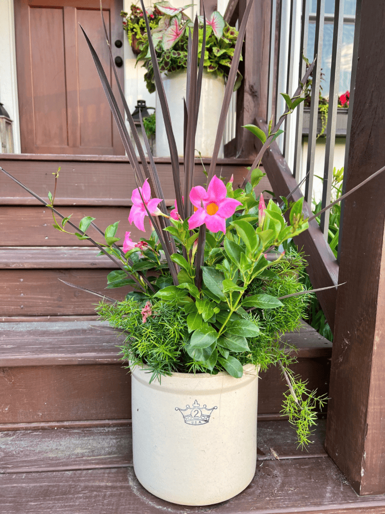 Upcycled Vintage Crock Planter