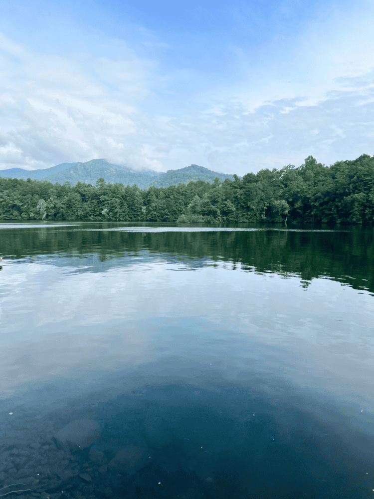 View of Lake Santeelah