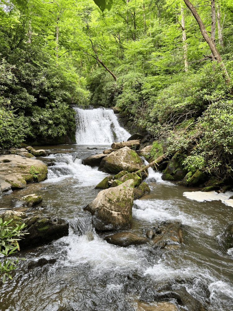 Yellow Creek Falls in Robbinsville NC