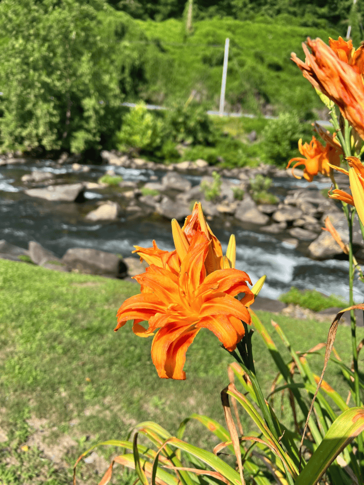 Cheoah River