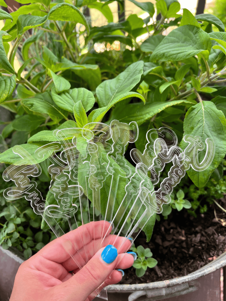 Placing Garden Markers in Herbs