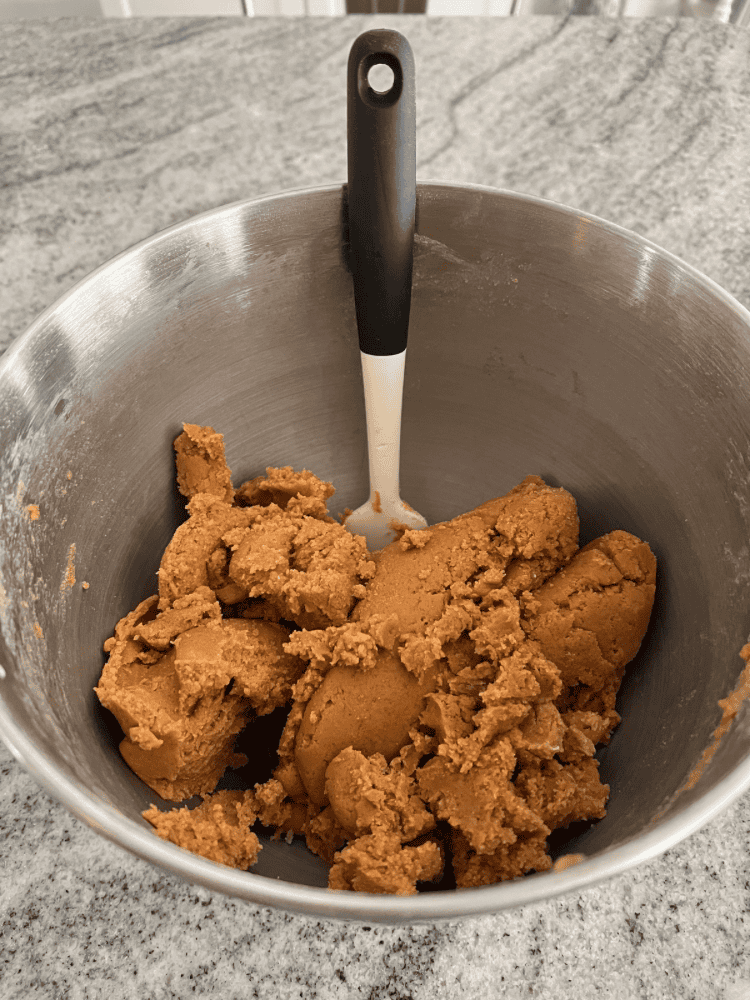 Soft Gingerbread Cookie Dough