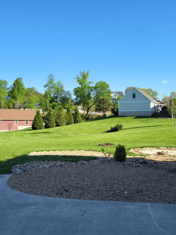 Before Backyard Detached Garage