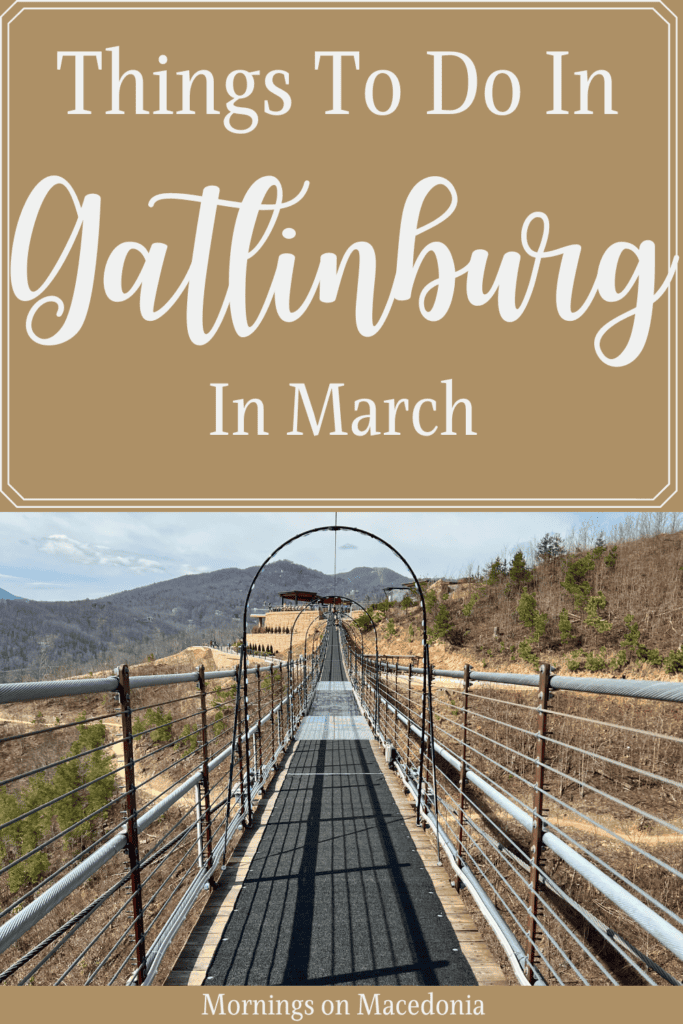 Things To Do In Gatlinburg In March