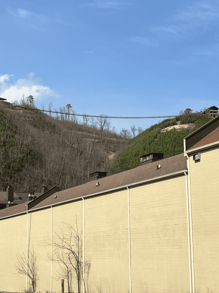 View of Skybridge