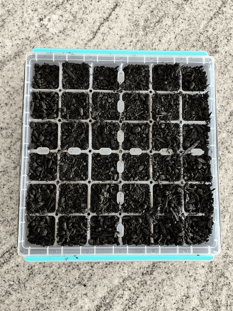 Tray For Planting Seeds