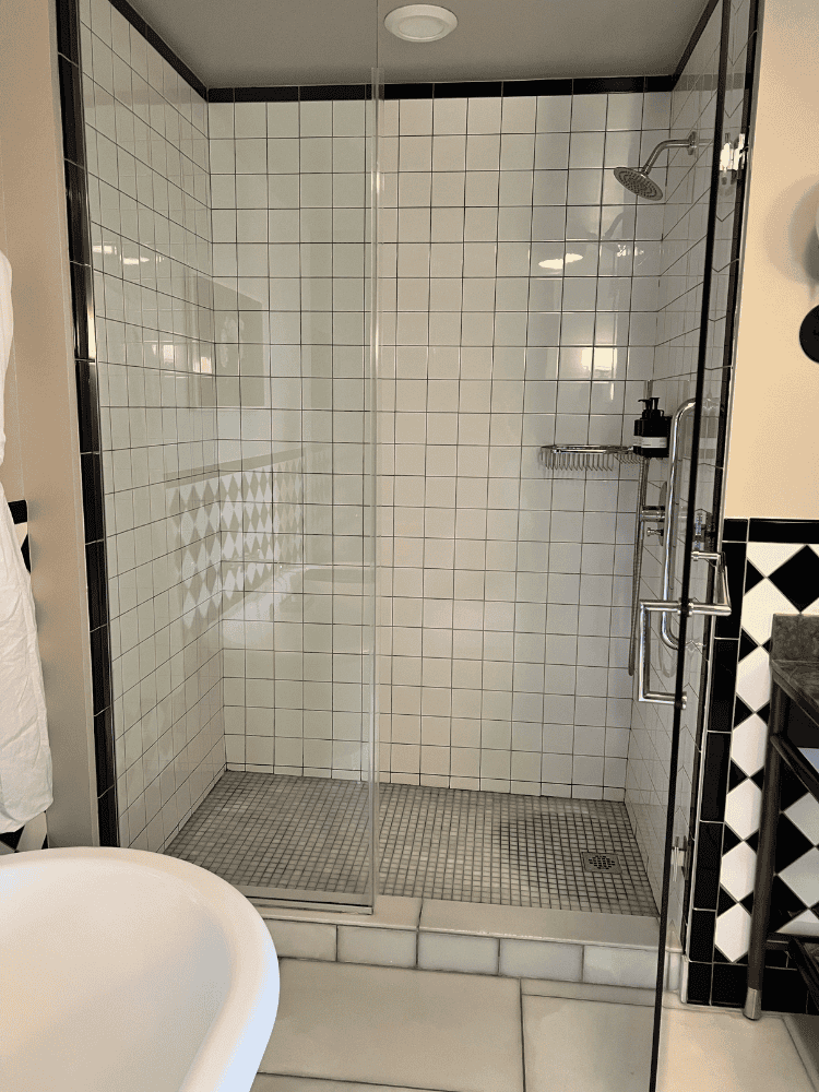 Candler Hotel Shower