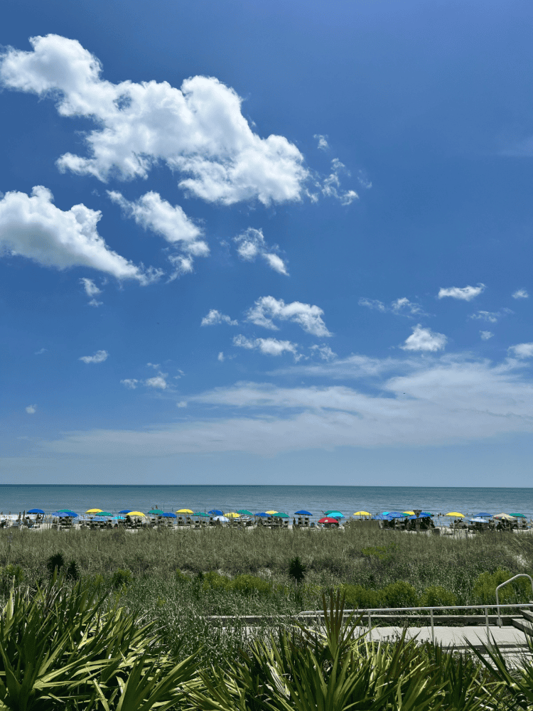 Beach View From Pool