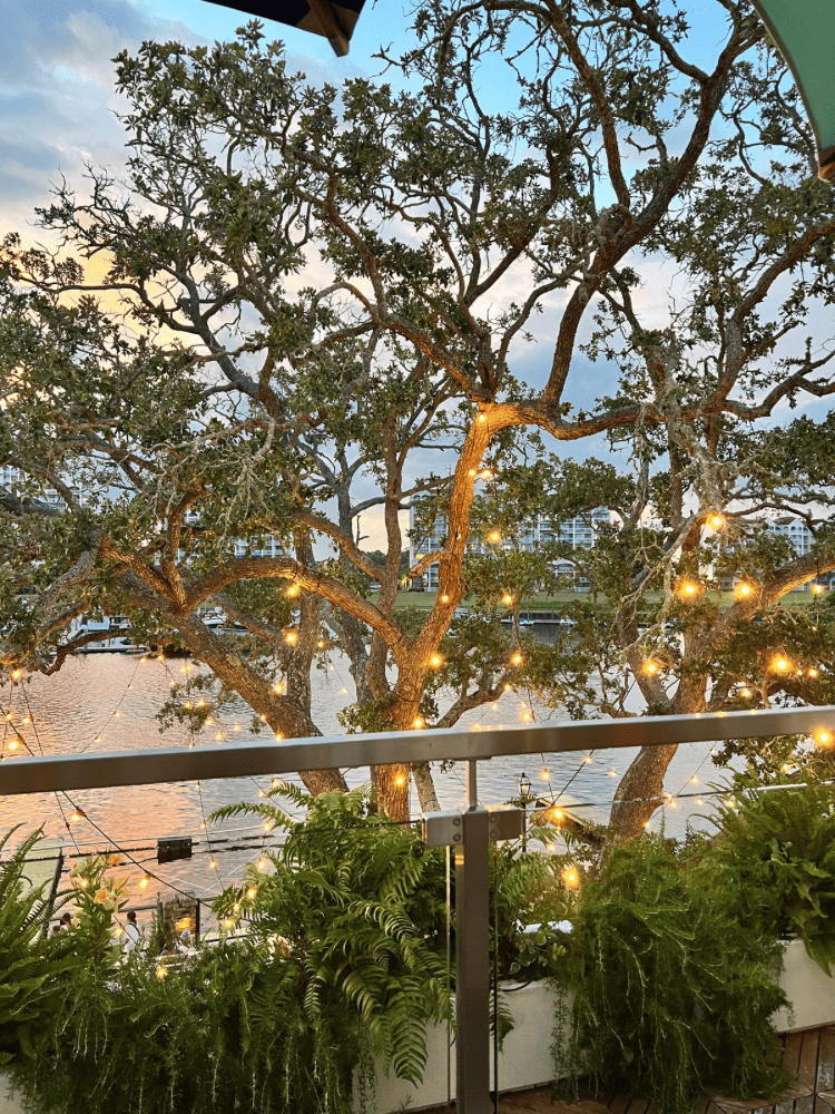 Chill House Views