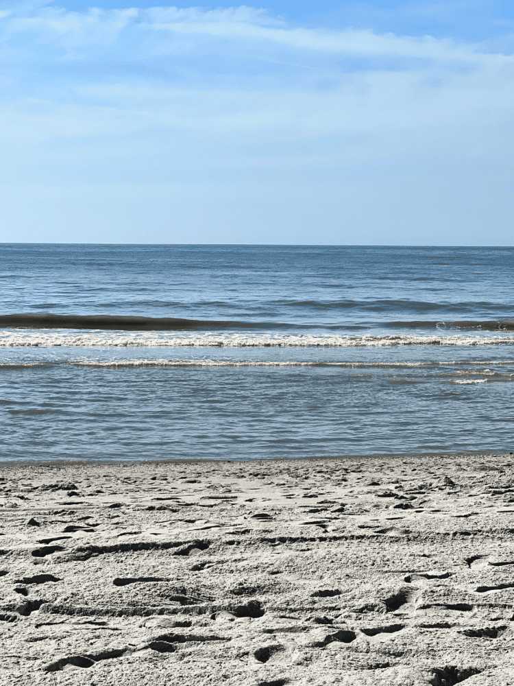 Ocean View