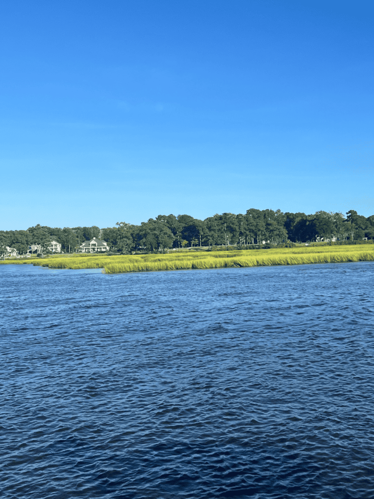 Oyster Rock View