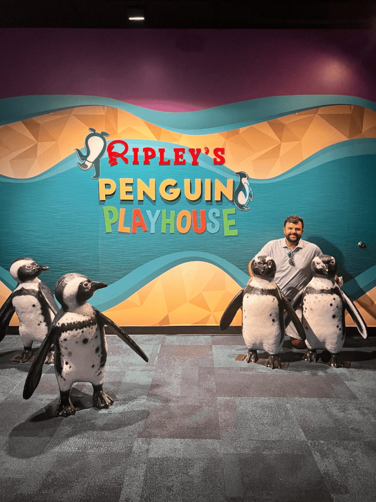 Ripley's Peguins