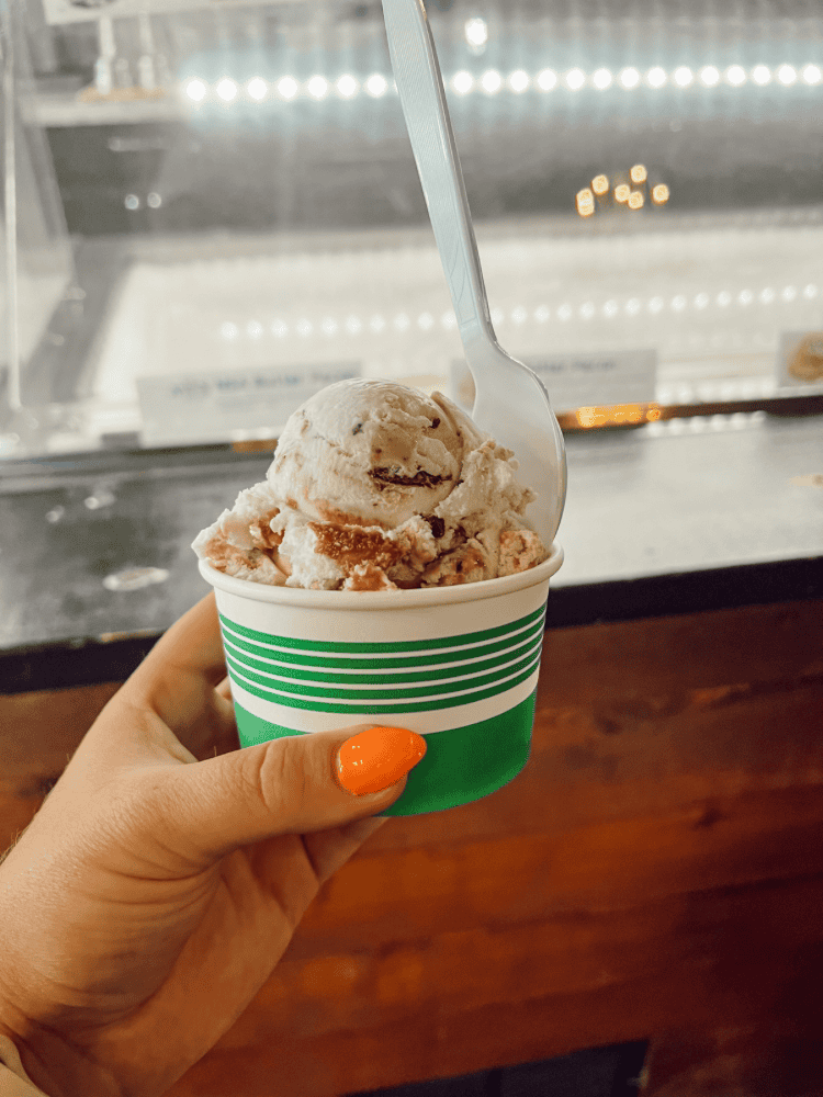The Ice Cream Stop