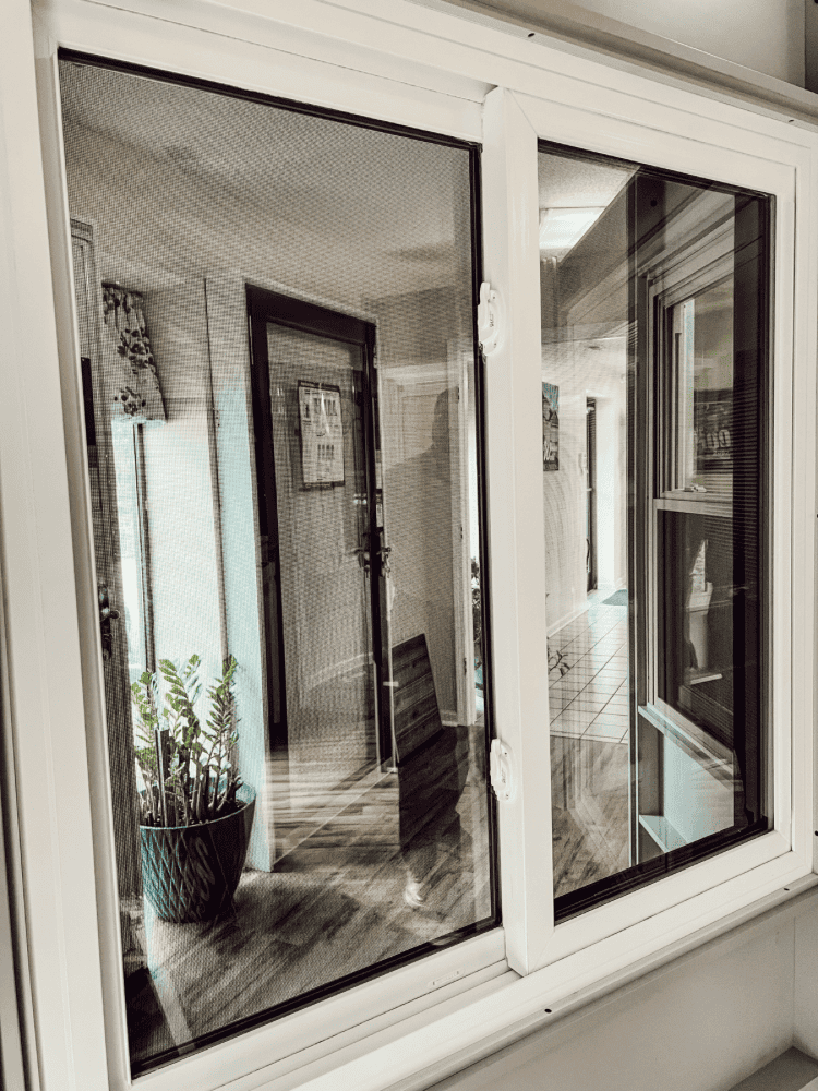 Windows