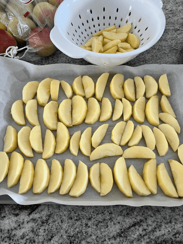 Frozen Apple Slices