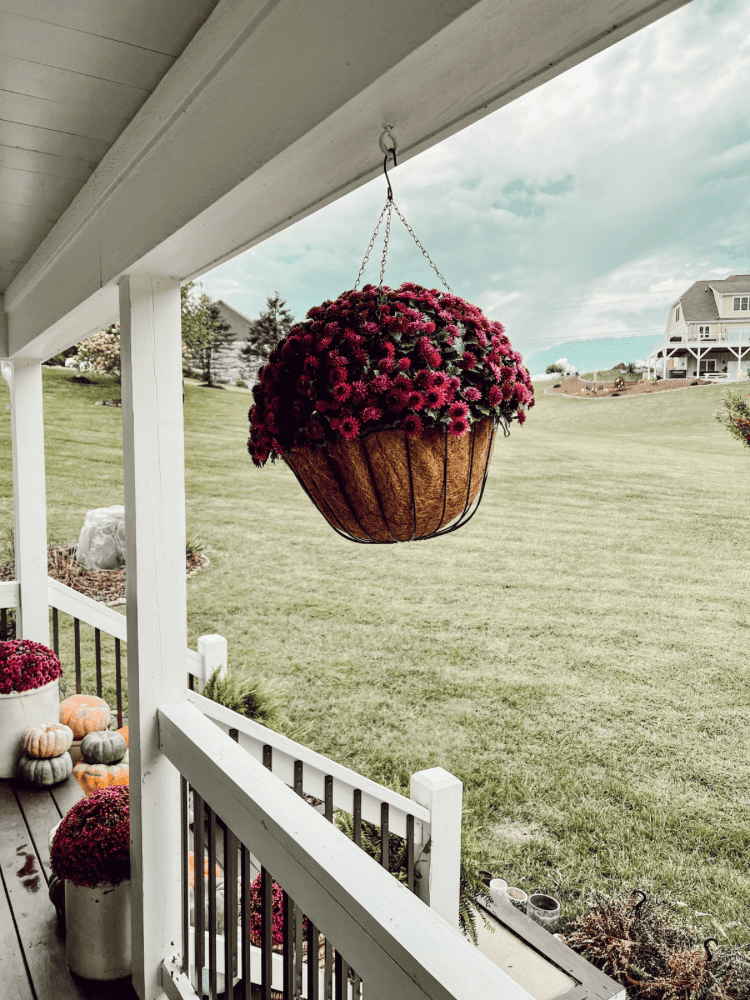 How To Make Your Own Hanging Basket For Fall